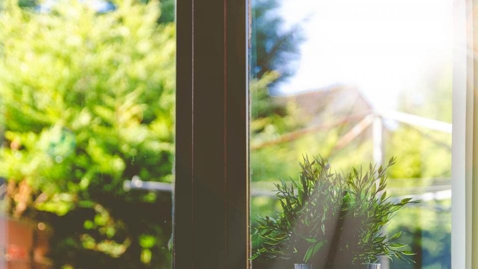 A bright window with plants on the sill