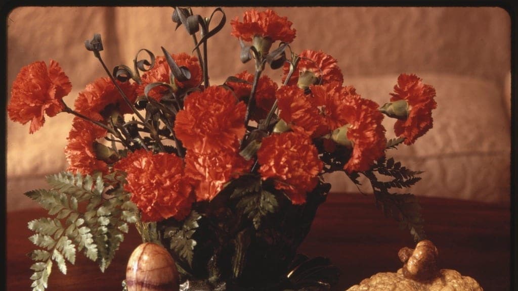 A vase of red carnations on a table
