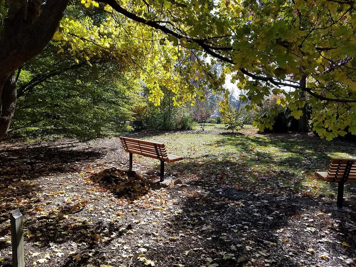 All of you, in an orchard