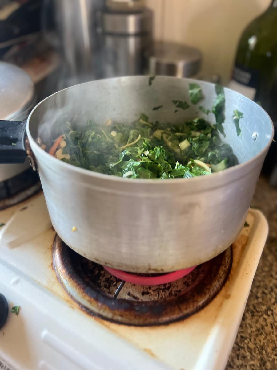 The flat with two burners and no counter